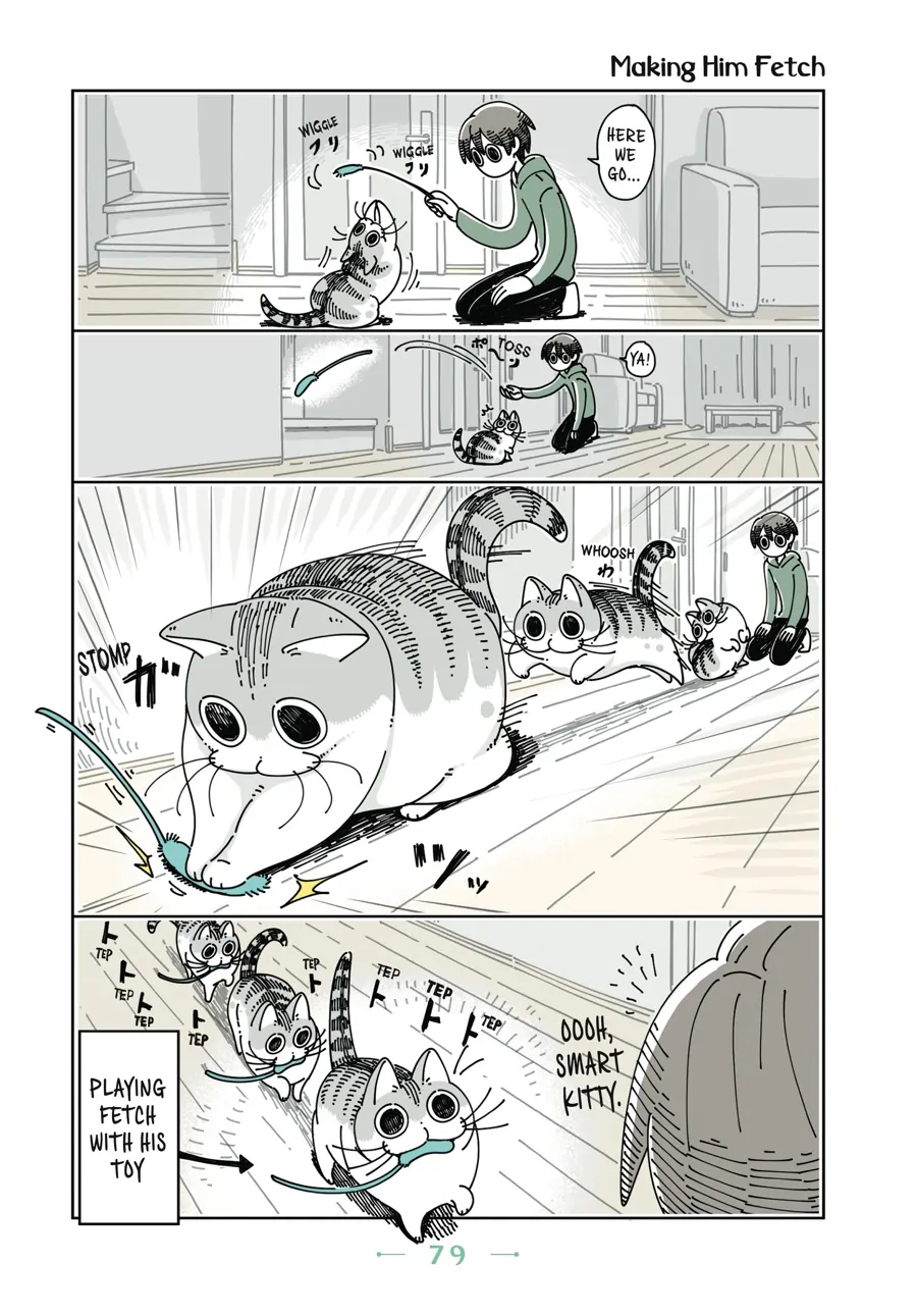 Nights with a Cat Chapter 53 - page 1