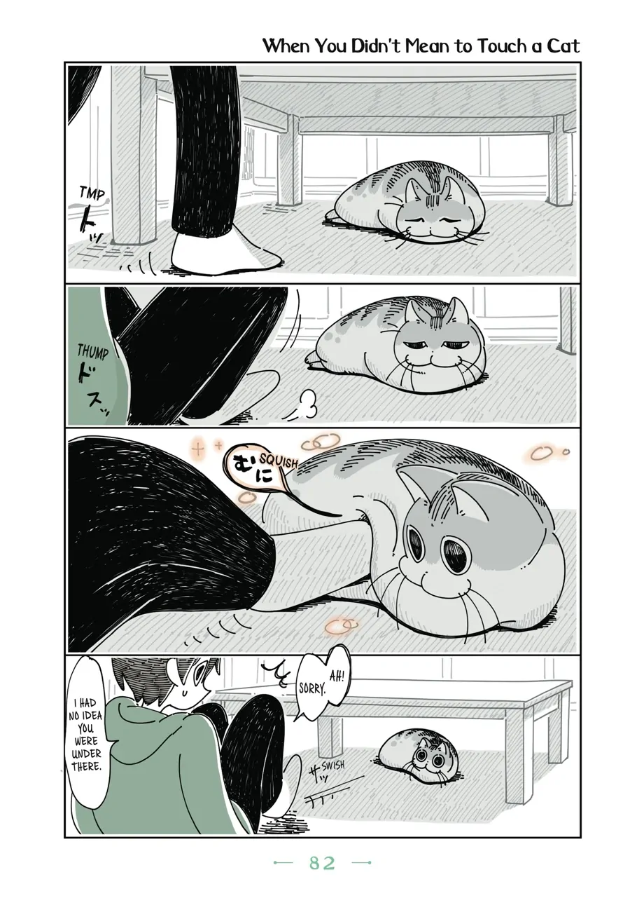 Nights with a Cat Chapter 54 - page 1