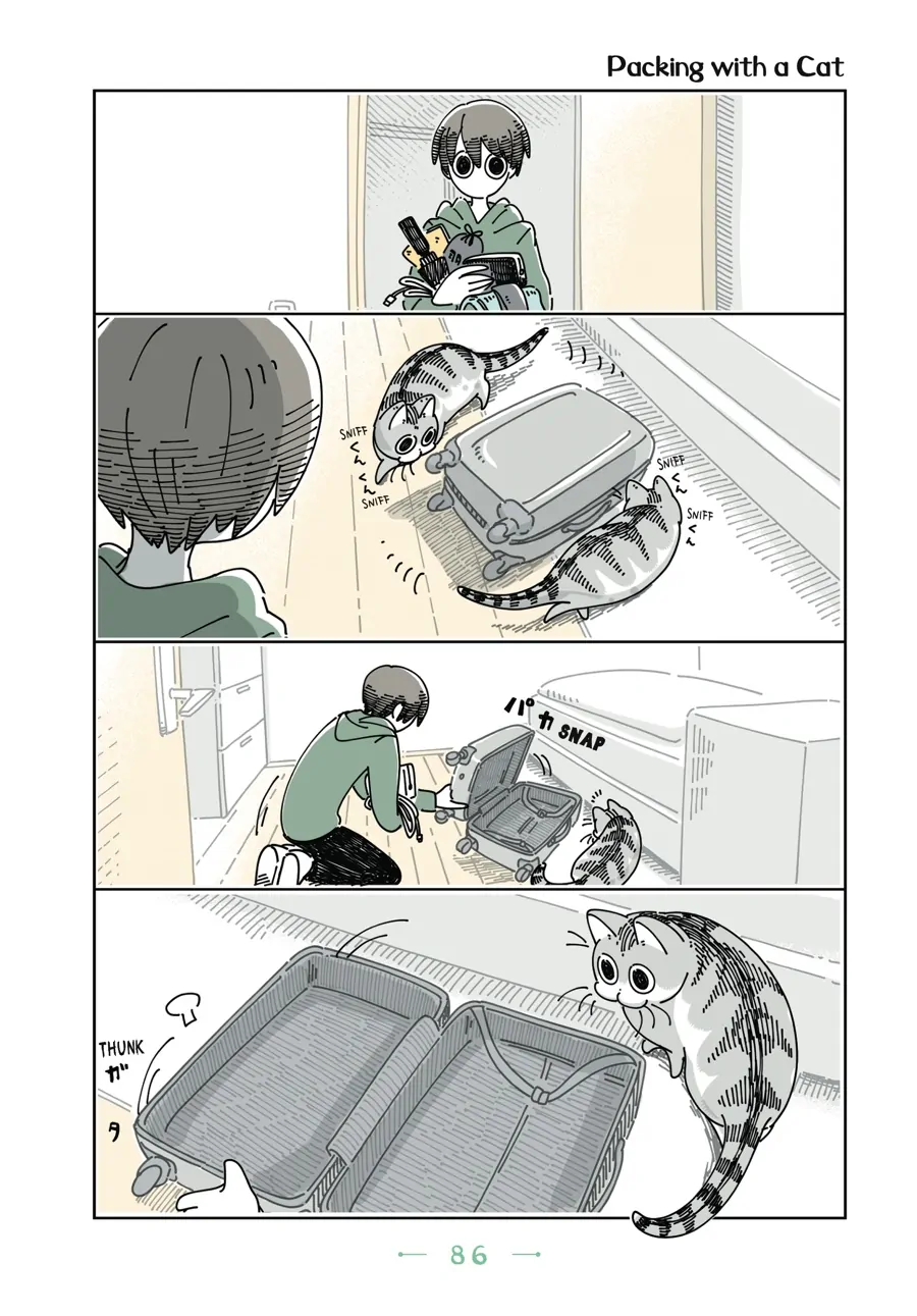 Nights with a Cat Chapter 55 - page 1