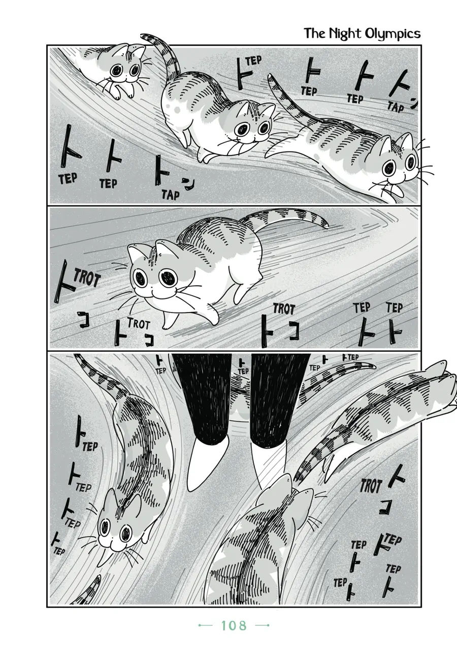 Nights with a Cat Chapter 59 - page 1