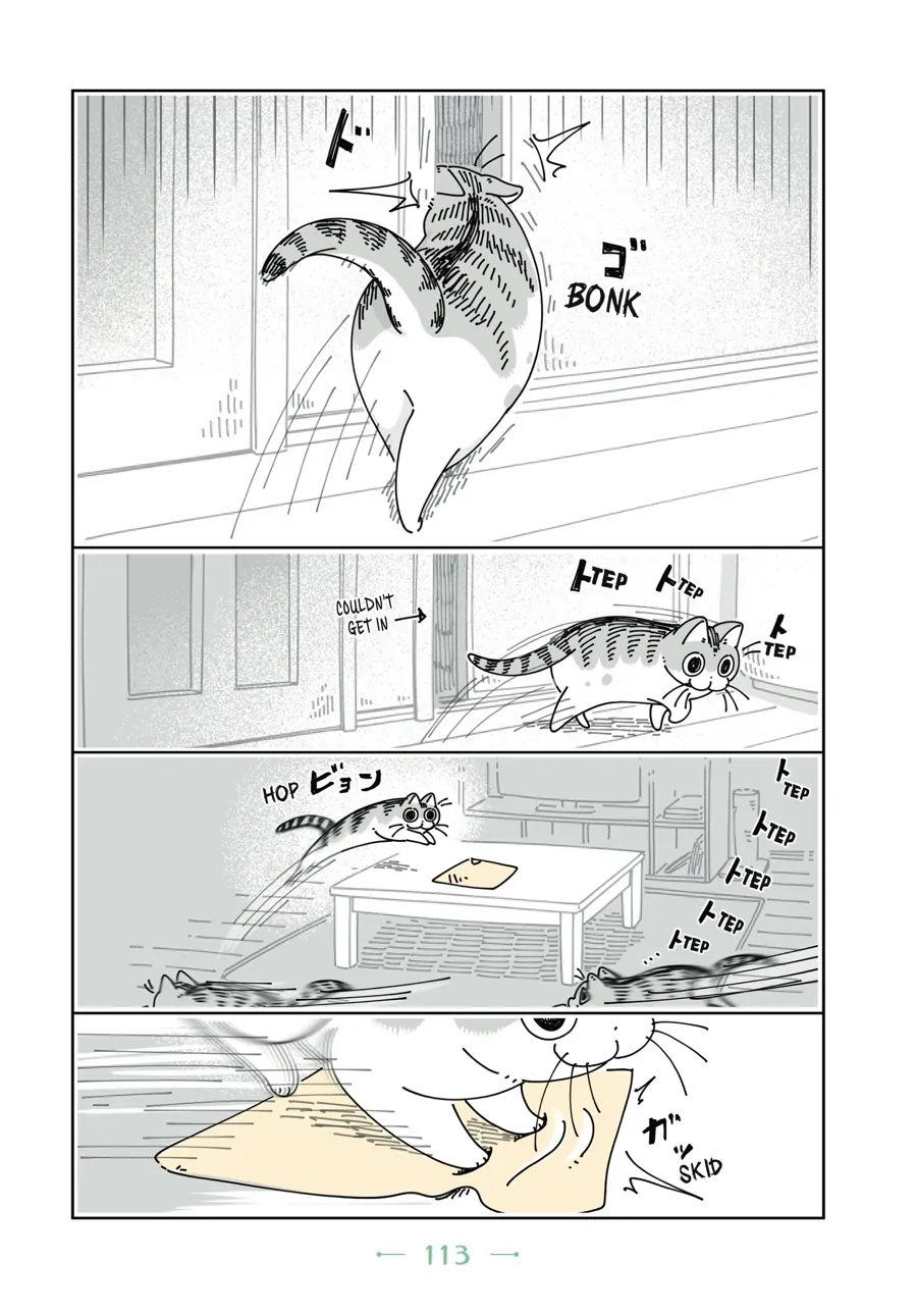 Nights with a Cat Chapter 59 - page 6