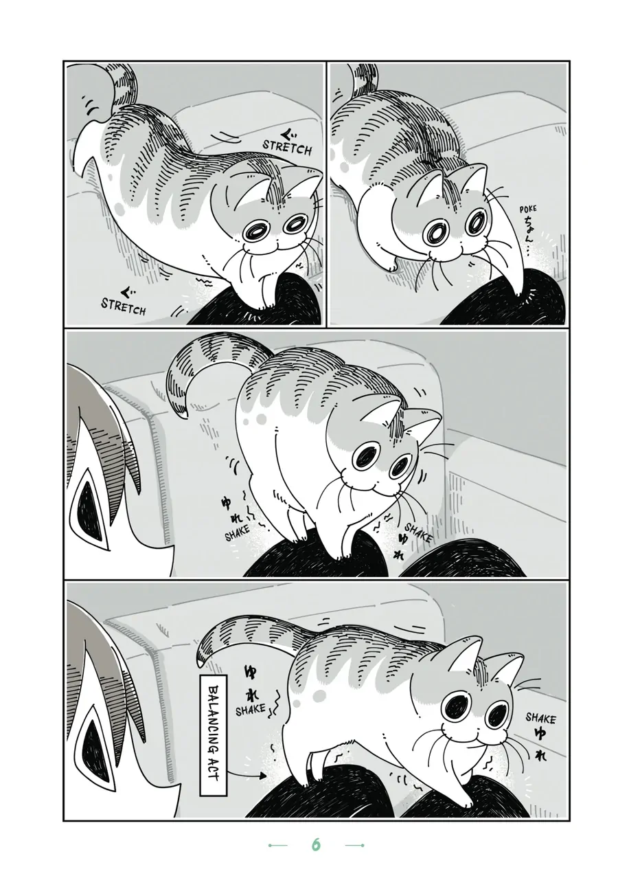 Nights with a Cat Chapter 61 - page 6