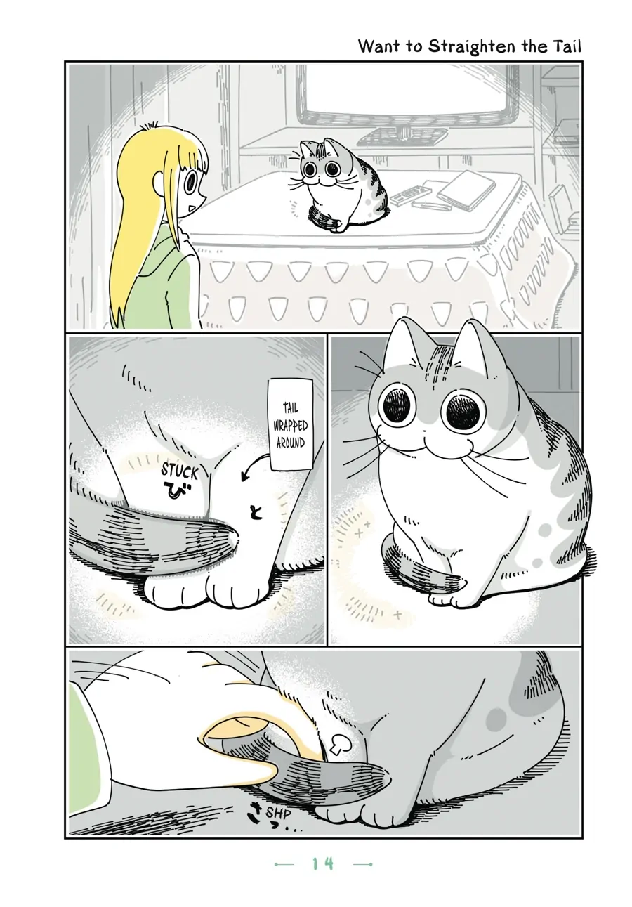Nights with a Cat Chapter 64 - page 1
