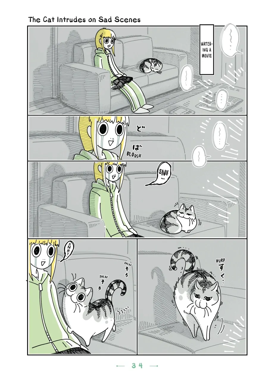 Nights with a Cat Chapter 72 - page 1