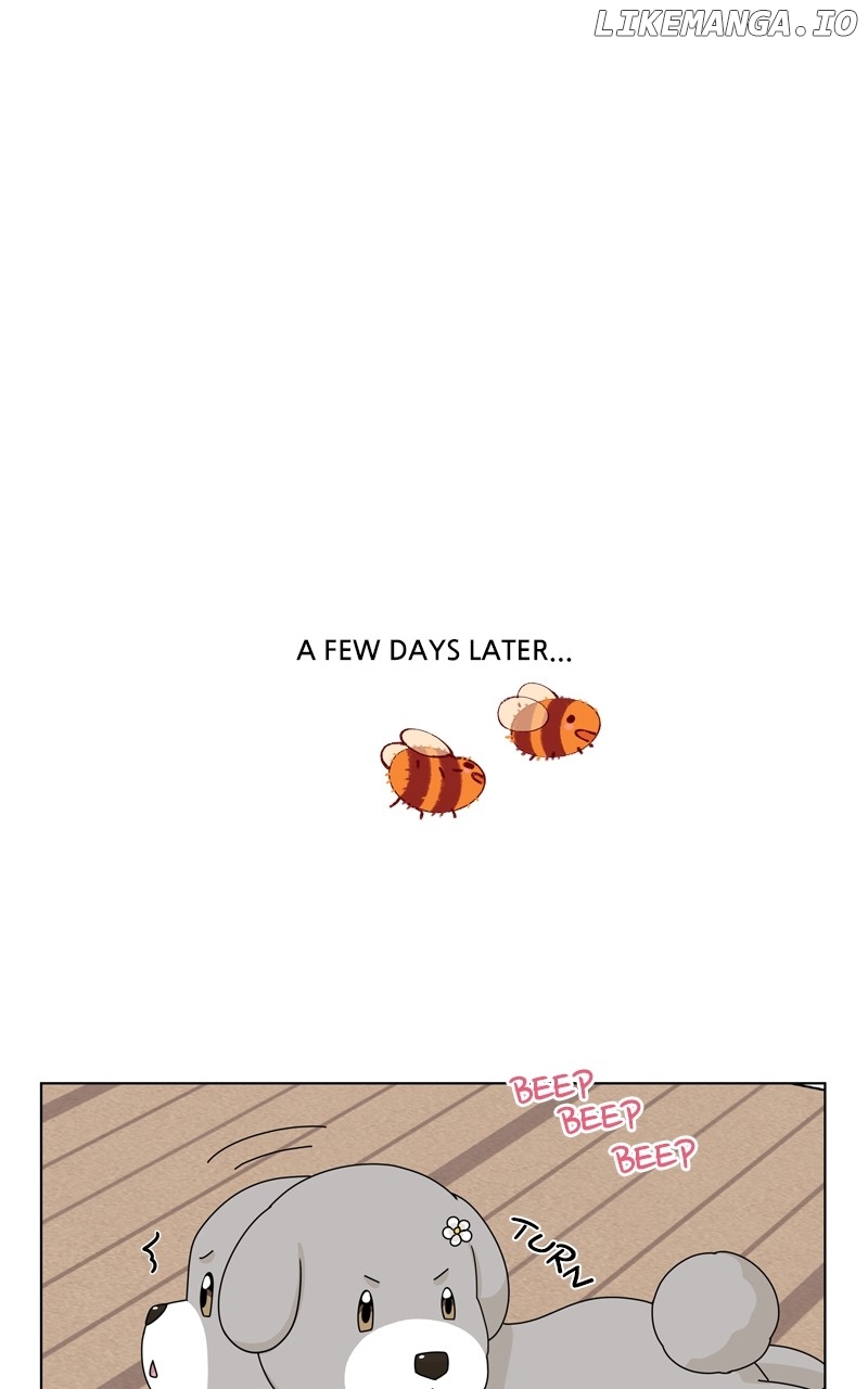 The Dog Diaries Chapter 146 - page 62