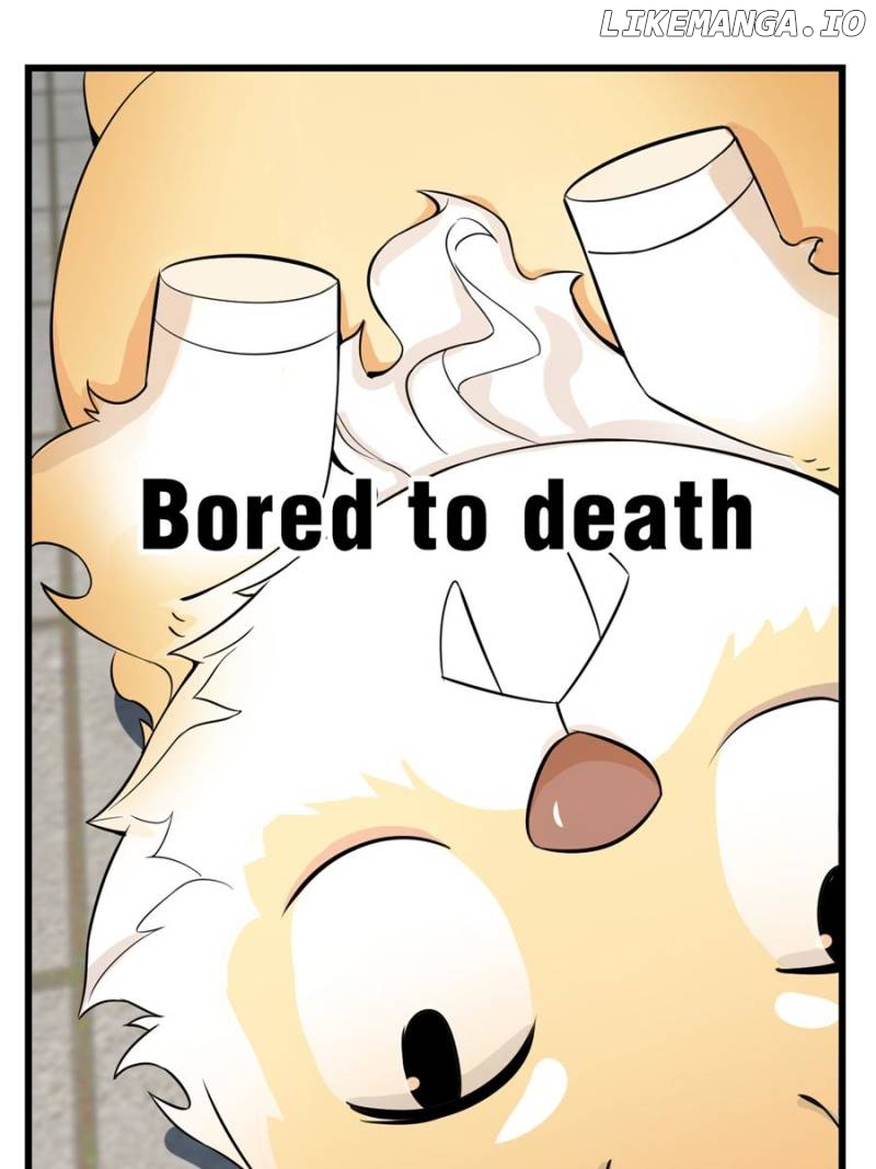 Queen of Posion: The Legend of a Super Agent, Doctor and Princess Chapter 22 - page 40