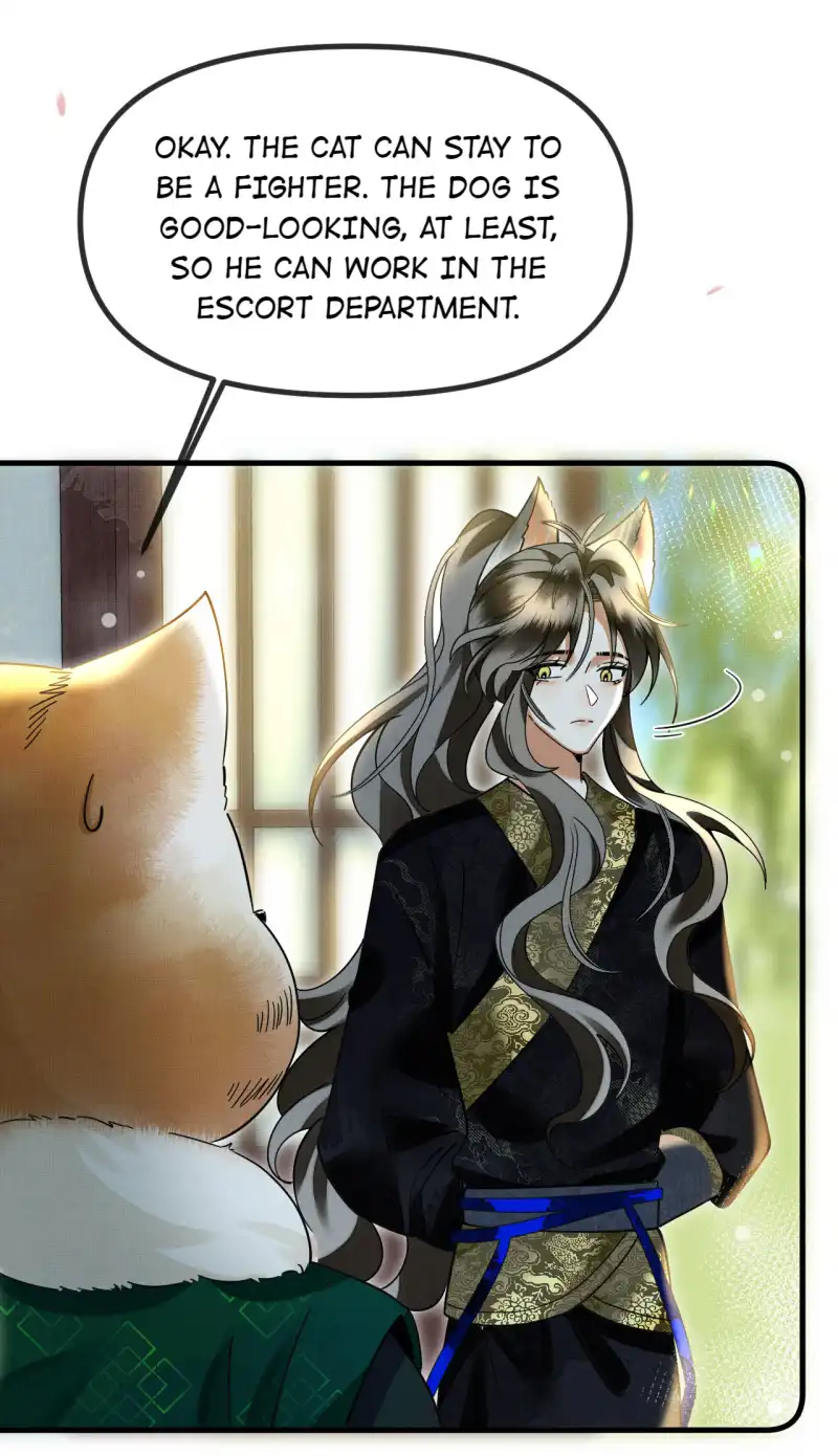 The Tail And Tale Of A Snow Leopard Chapter 56 - page 7