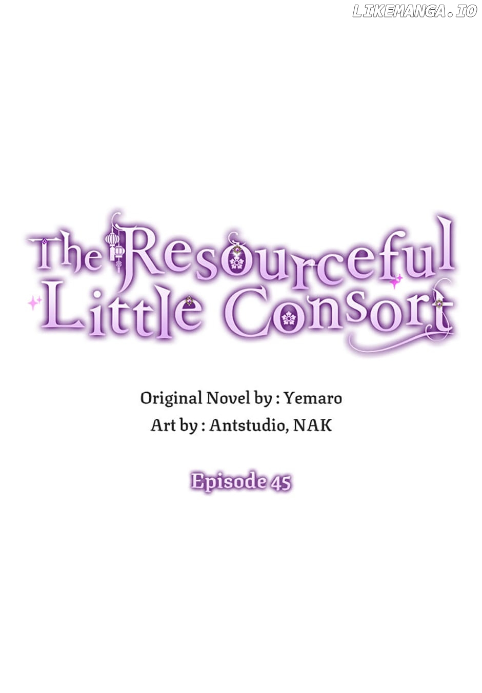 The Resourceful Little Consort Chapter 45 - page 52