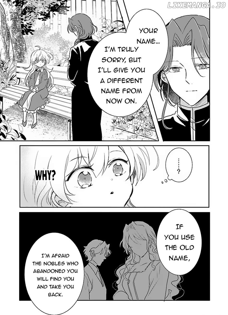 Gyakutaisarete Ita Shouka no Reijou wa Seijo no Chikara wo Te ni Ire, Mujikaku ni Youshanaku Gyakushuu suru Chapter 4 - page 18