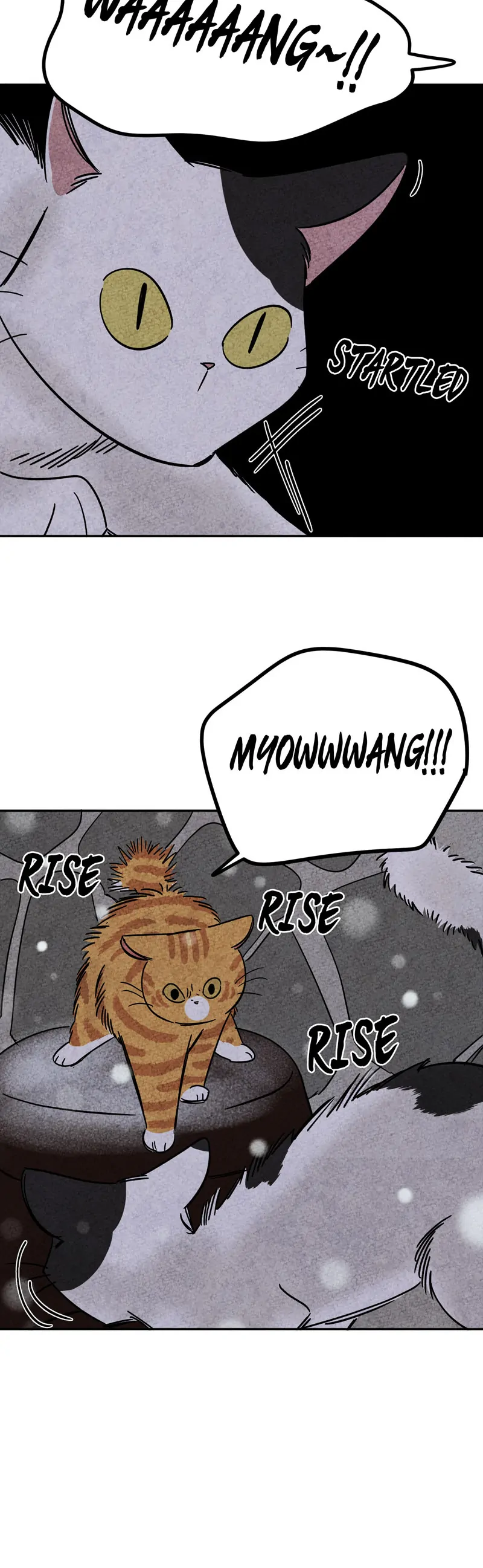 The Tale Of Goldiluck, The Black Kitten Chapter 66 - page 17