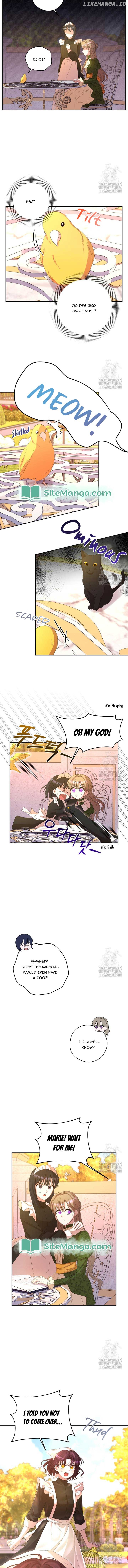 The Maid With A Dictator On A Leash Chapter 44 - page 3