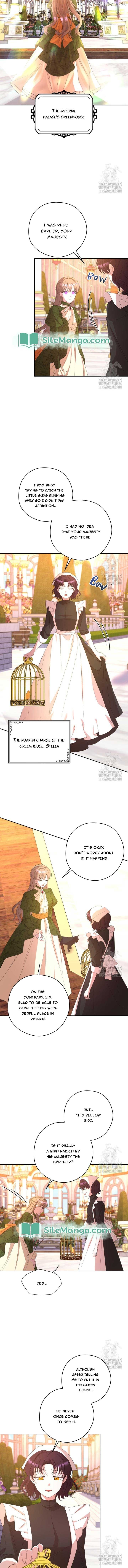 The Maid With A Dictator On A Leash Chapter 44 - page 5