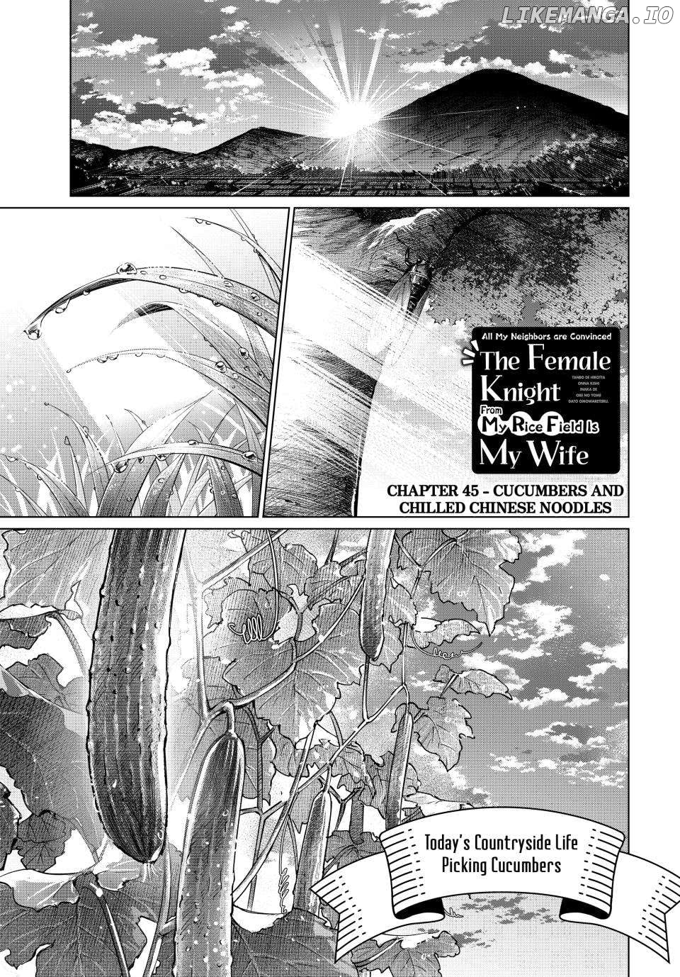 All My Neighbors are Convinced the Female Knight from My Rice Field Is My Wife Chapter 45 - page 1