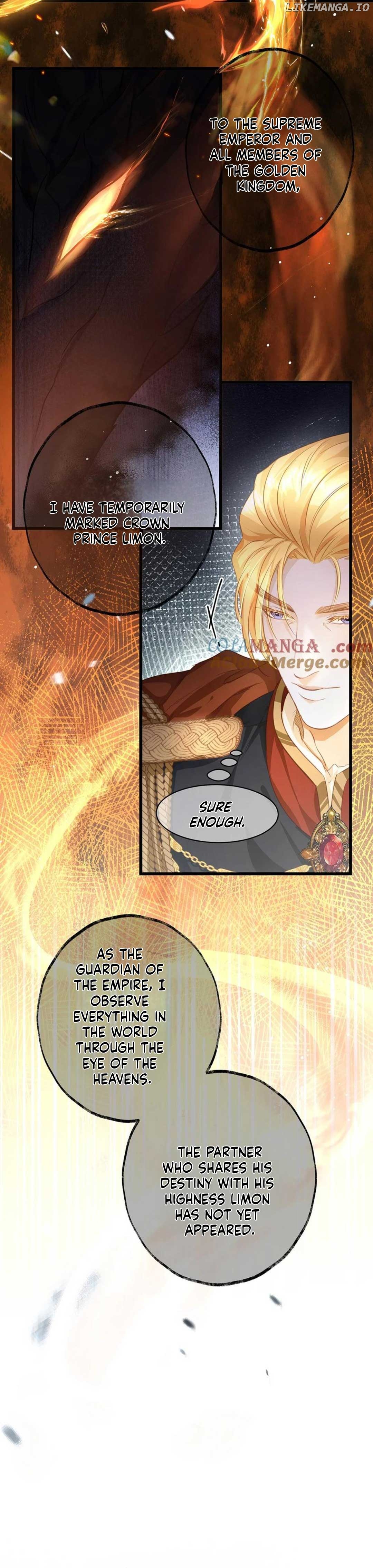 I Was Reborn as His Highness the Prince's Little Evil Dragon Chapter 32 - page 14