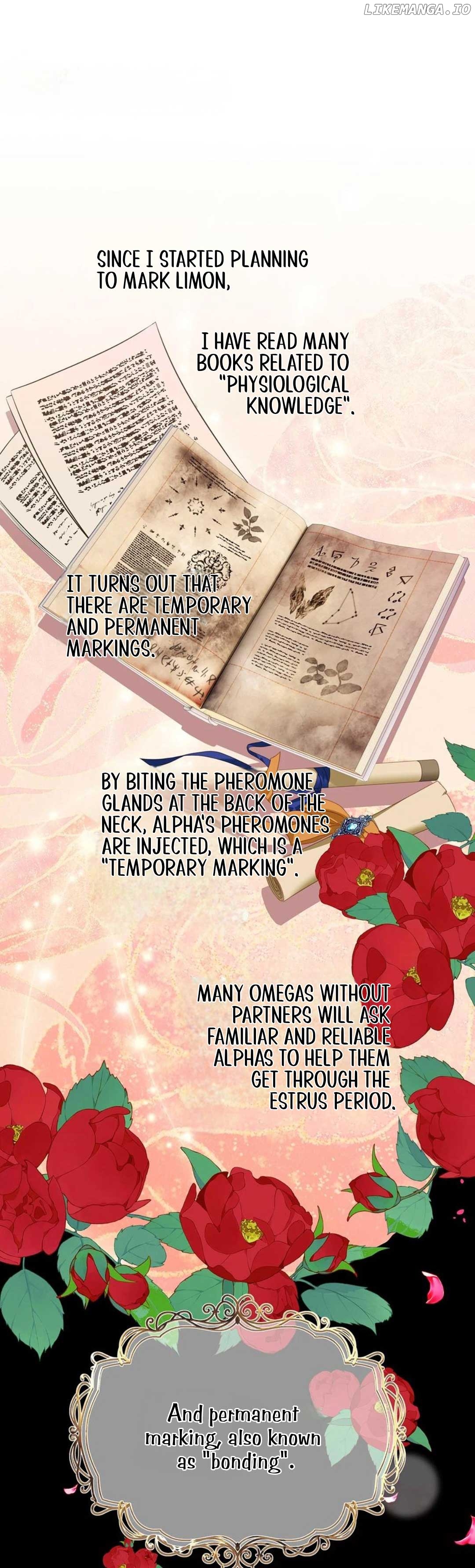 I Was Reborn as His Highness the Prince's Little Evil Dragon Chapter 32 - page 2