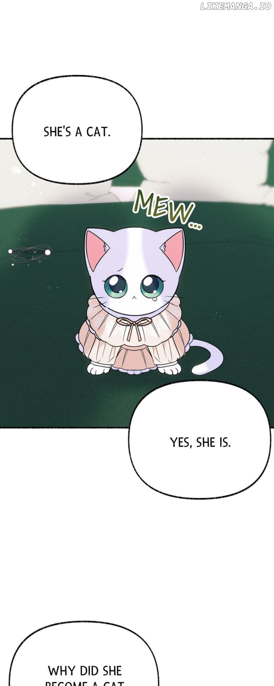 The Possesive Tyrant and His Sleepy Cat Chapter 18 - page 1