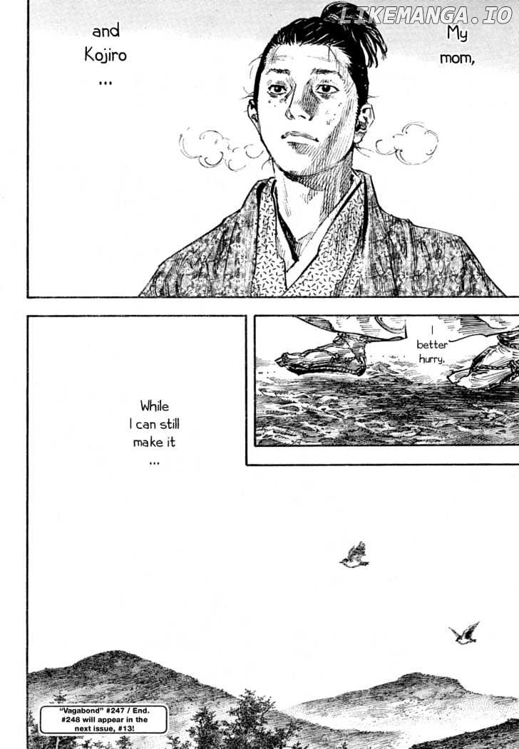 Vagabond - Manga Chapter 248 - page 17