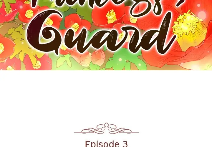 The Princess's Guard (official) Chapter 3 - page 3
