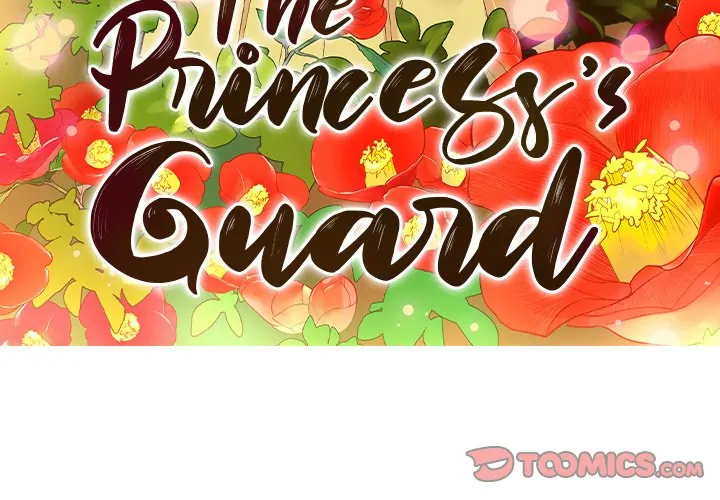 The Princess's Guard (official) Chapter 29 - page 3