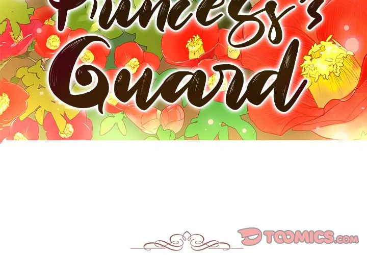 The Princess's Guard (official) Chapter 12 - page 3