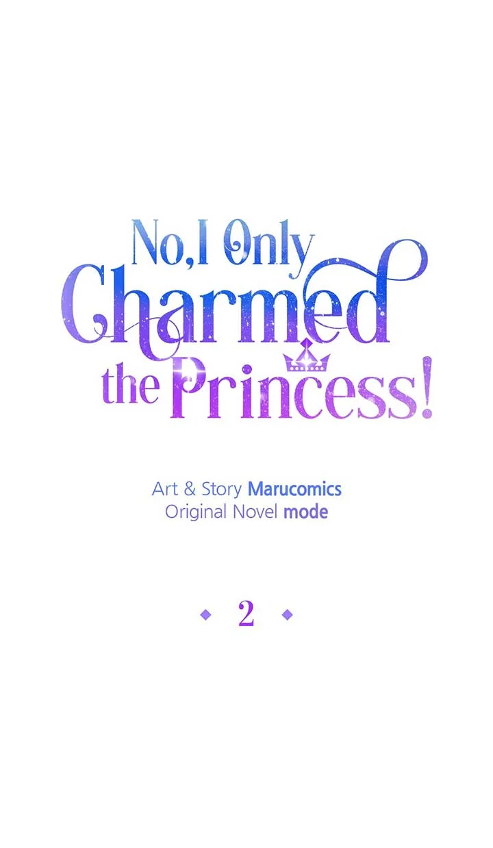 No, I Only Charmed the Princess! Chapter 2 - page 39