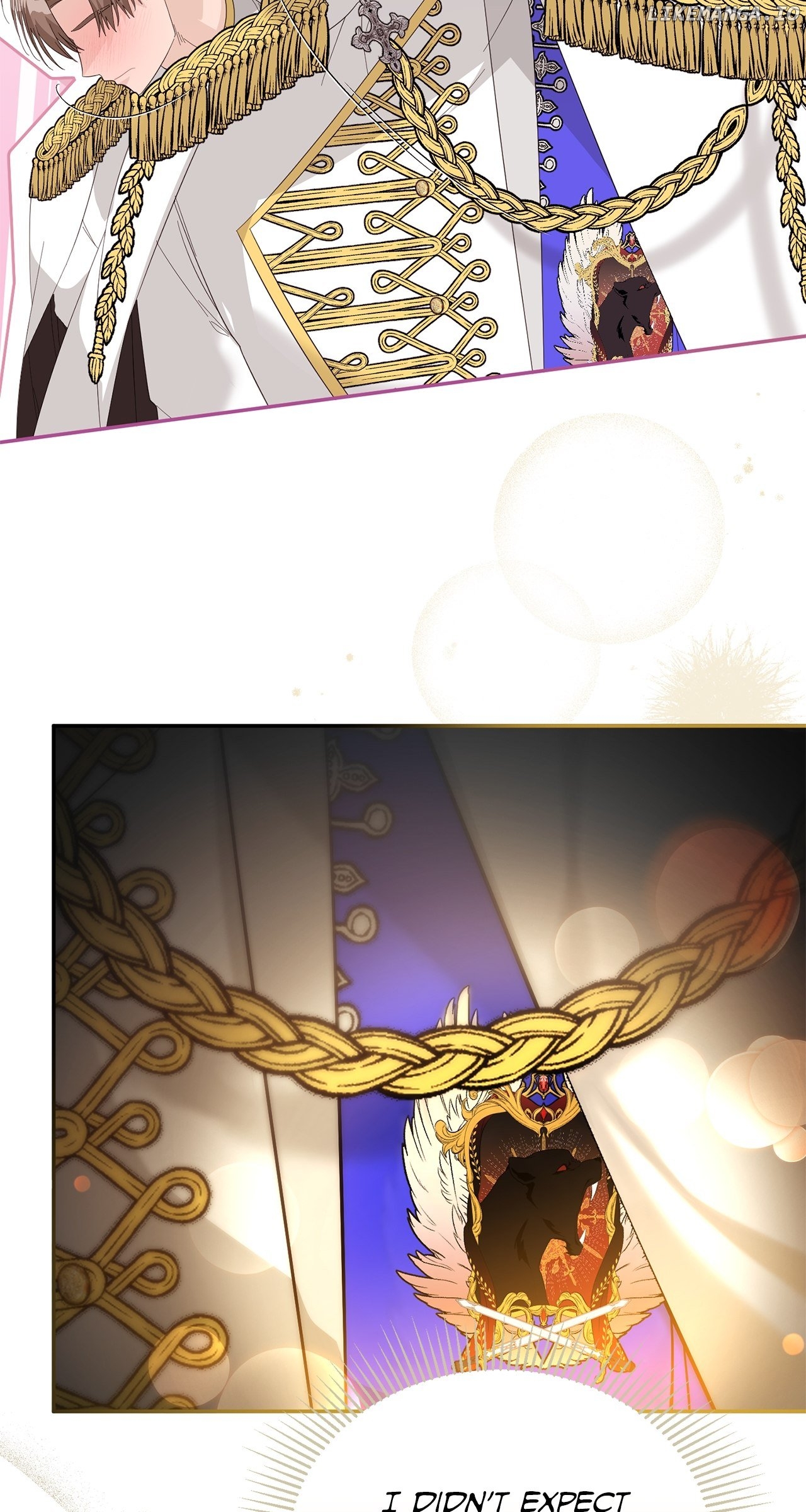 No, I Only Charmed the Princess! Chapter 8 - page 17