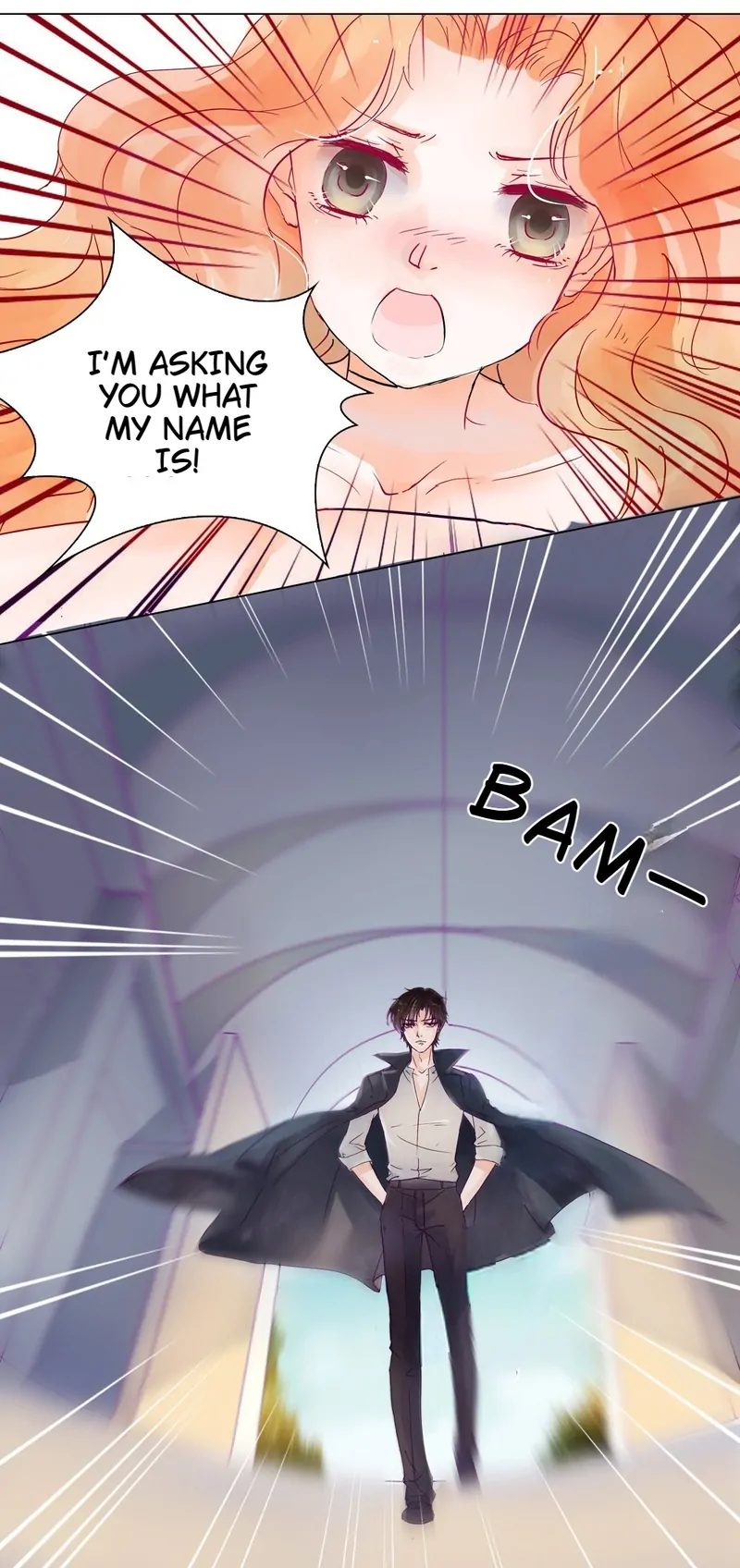 The Chairman Is in Love With Two of Me Chapter 1 - page 24