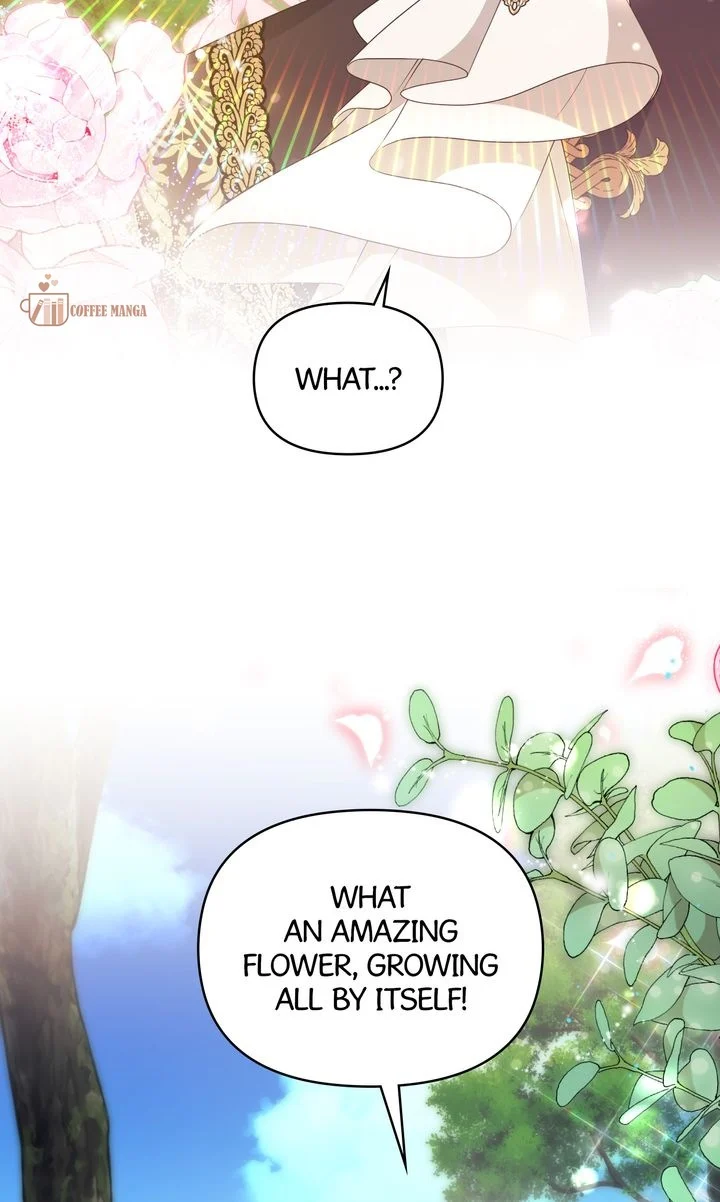 I Will Seduce The Male Lead For My Older Brother Chapter 45 - page 40