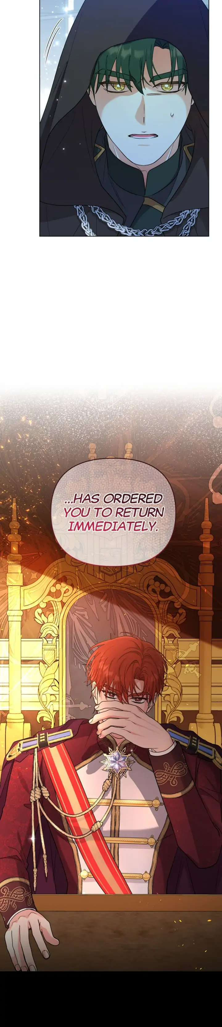I Got Married To A Villain Chapter 63 - page 27