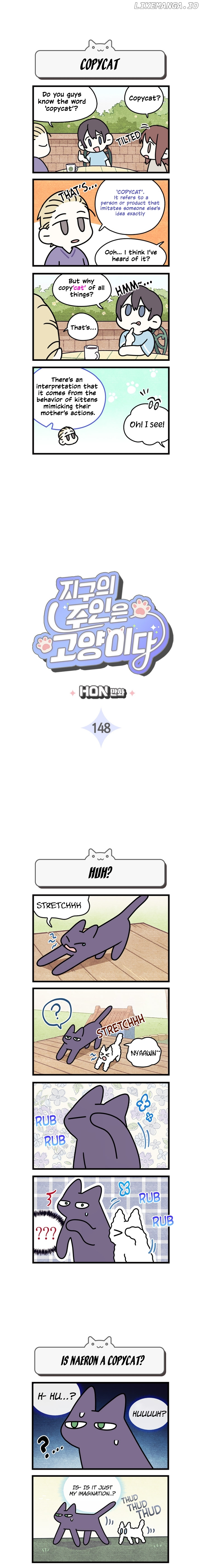 Cats Own The World Chapter 148 - page 2