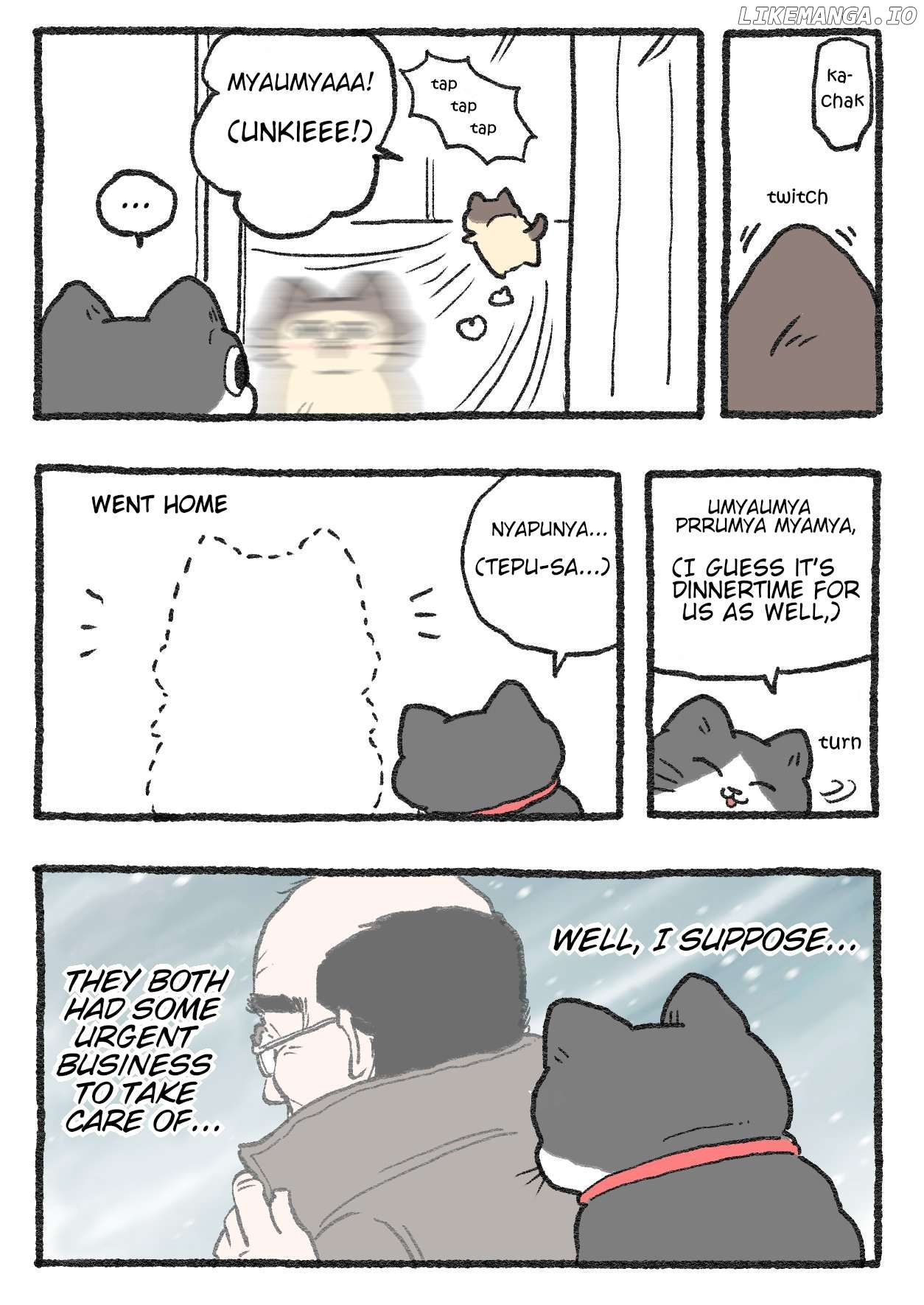 The Old Man Who Was Reincarnated As A Cat Chapter 382 - page 2