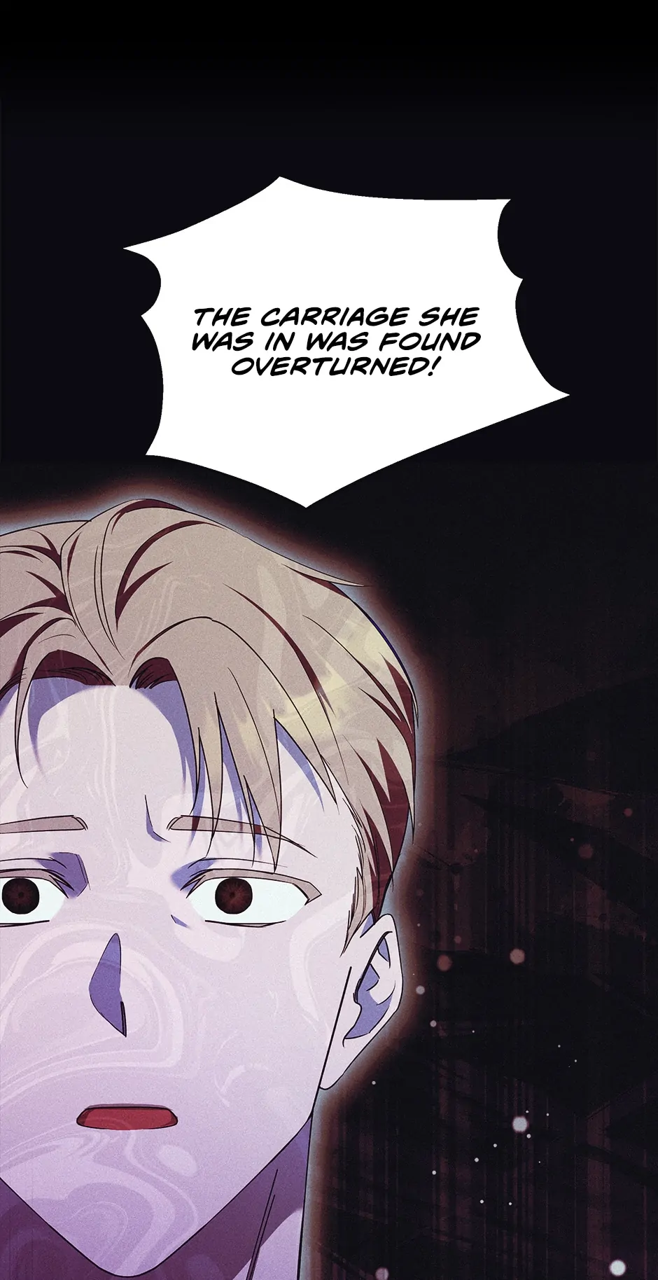 I Just Want My Happy Ending! Chapter 13 - page 17
