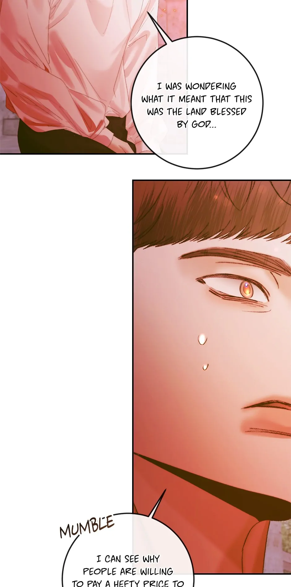 The Siren: Becoming the Villain's Family Chapter 94 - page 13