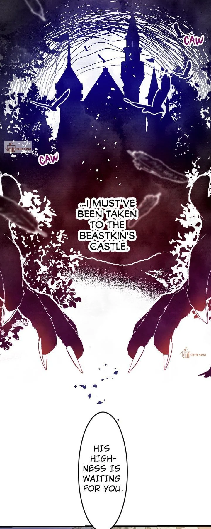 Sacrificed to Be the Beast King's Bride Chapter 2 - page 13