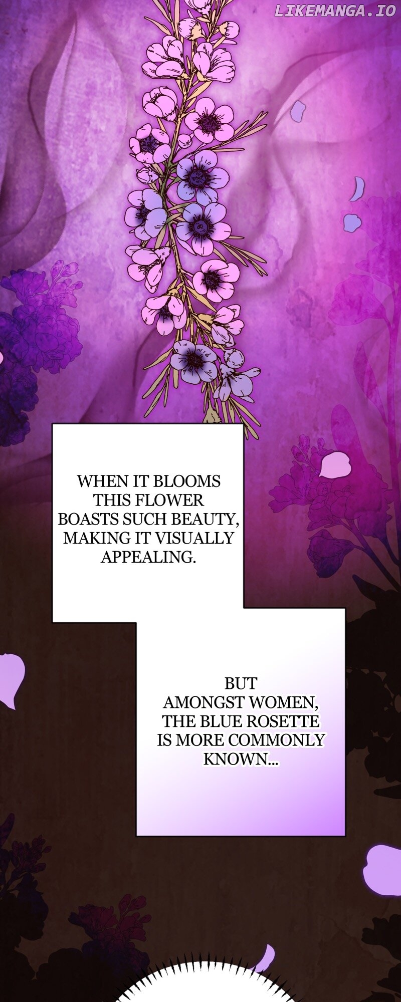 The Handmaiden Dreams at Sunset Chapter 29 - page 26