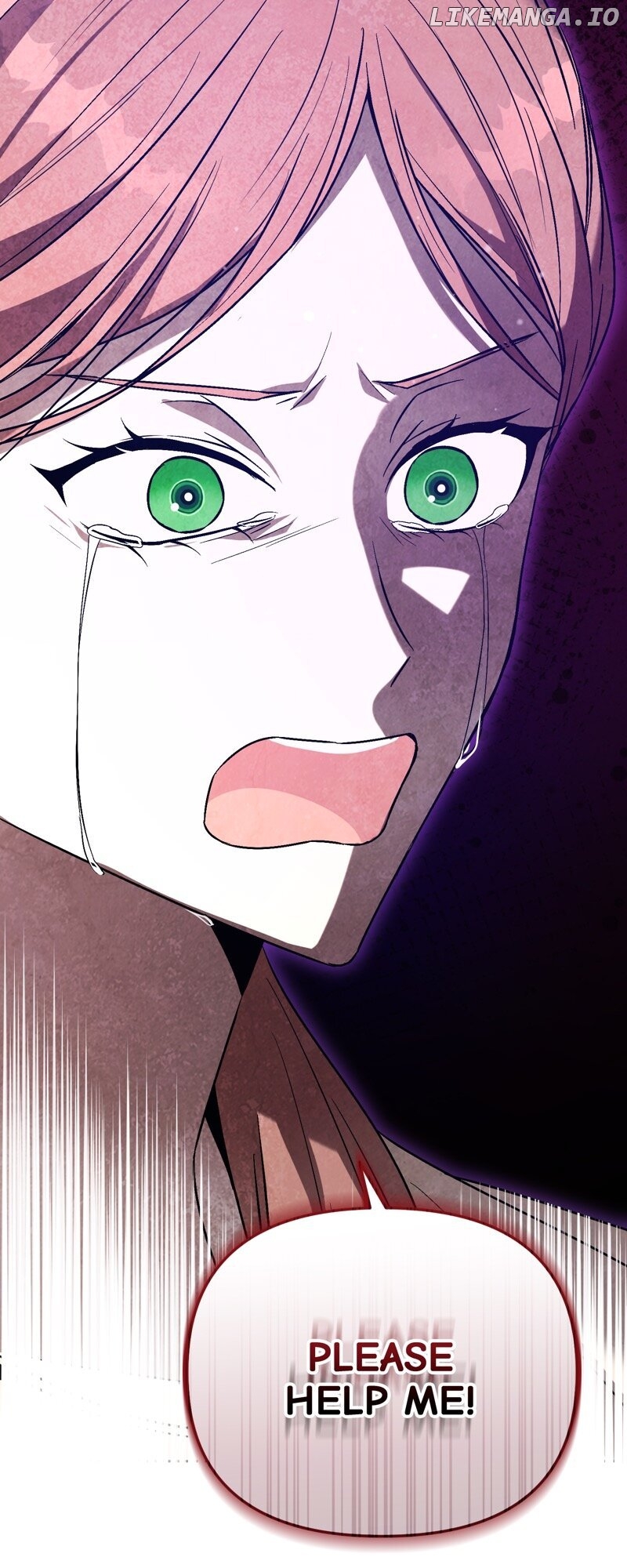 The Handmaiden Dreams at Sunset Chapter 31 - page 39