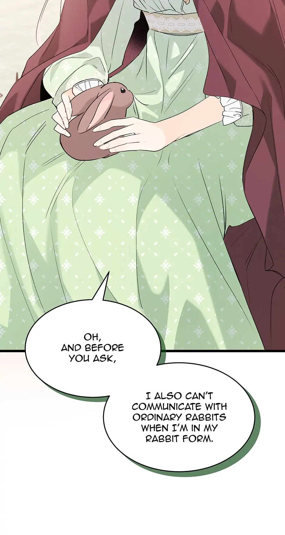 Little Rabbit and the Big Bad Leopard Chapter 75 - page 78