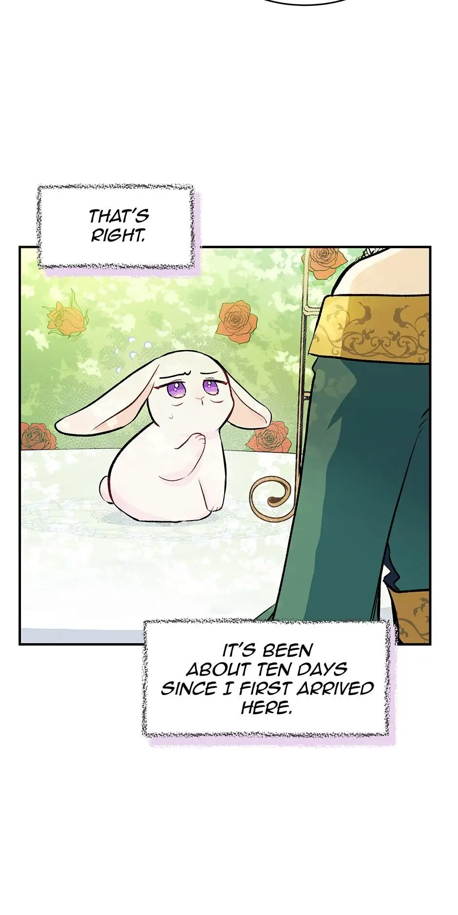 Little Rabbit and the Big Bad Leopard Chapter 5 - page 11