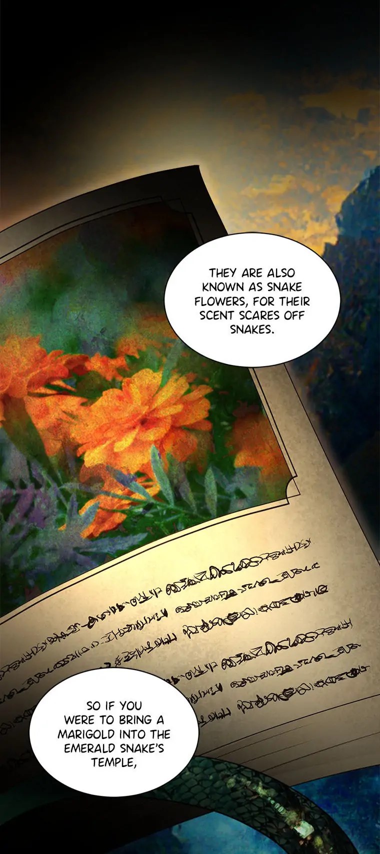 The Baby Divine Beast Chapter 33 - page 15