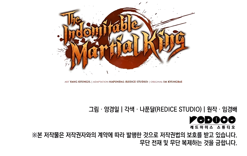 The Indomitable Martial King Chapter 29 - page 15