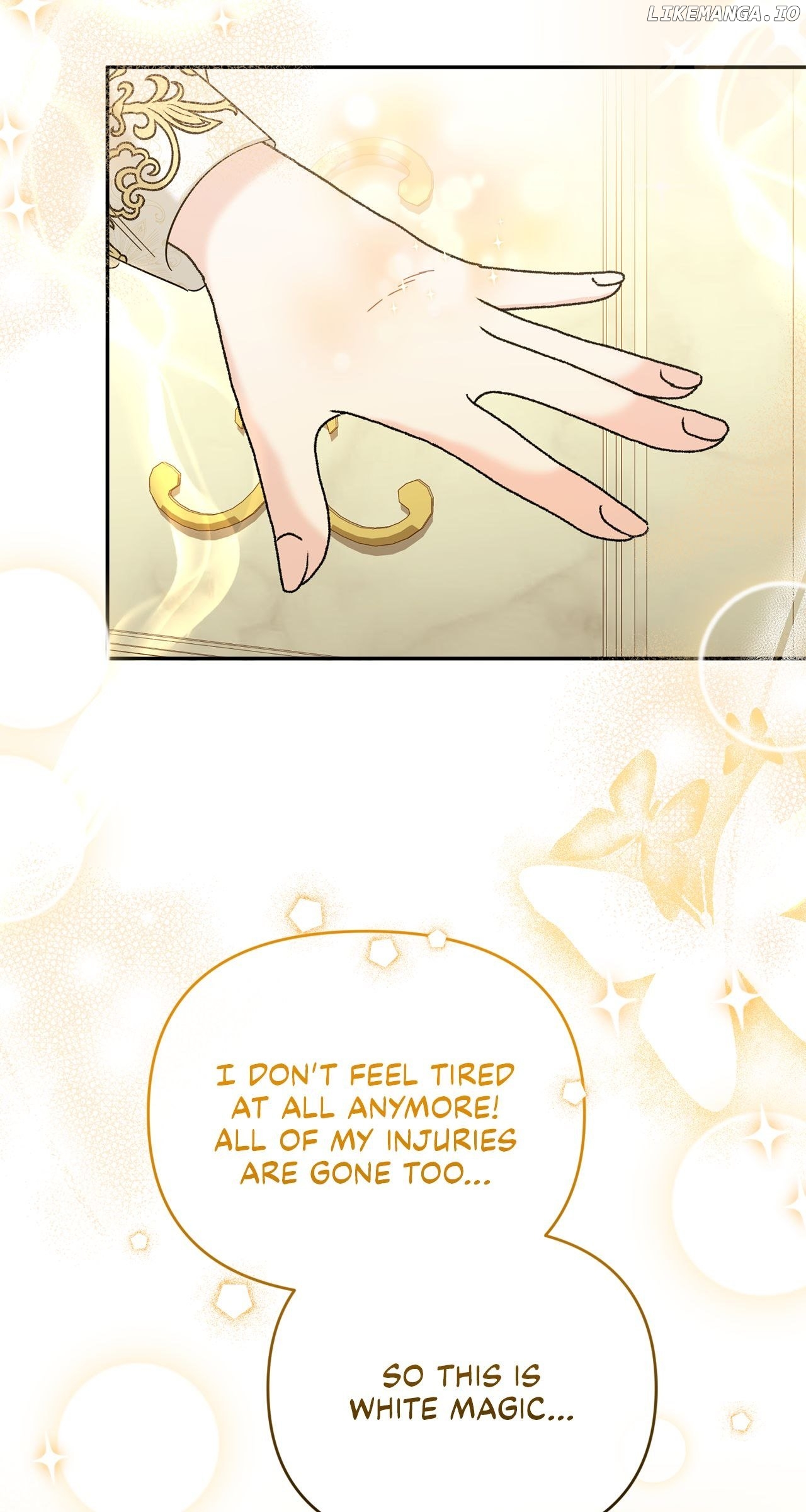 No, I Only Charmed the Princess! Chapter 11 - page 41