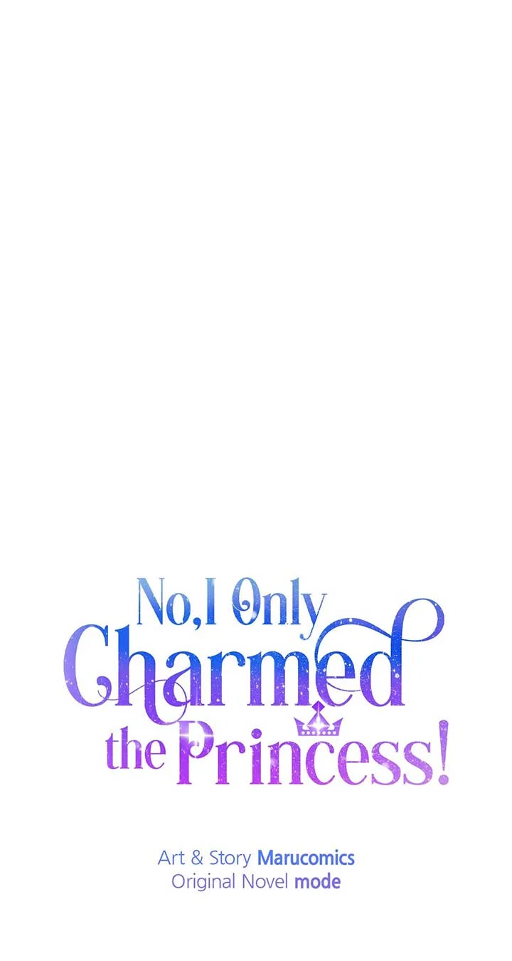 No, I Only Charmed the Princess! Chapter 13 - page 40