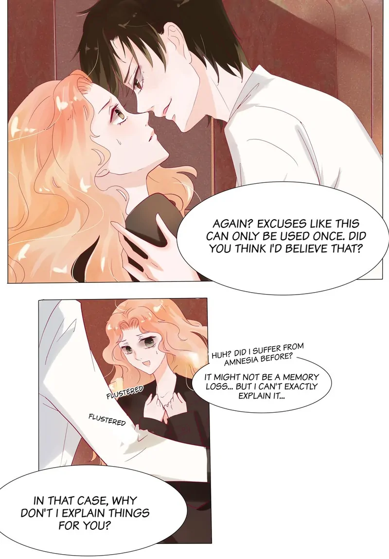 The Chairman Is in Love With Two of Me Chapter 2 - page 14