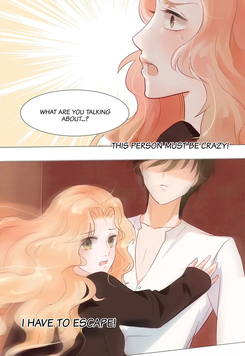 The Chairman Is in Love With Two of Me Chapter 2 - page 16