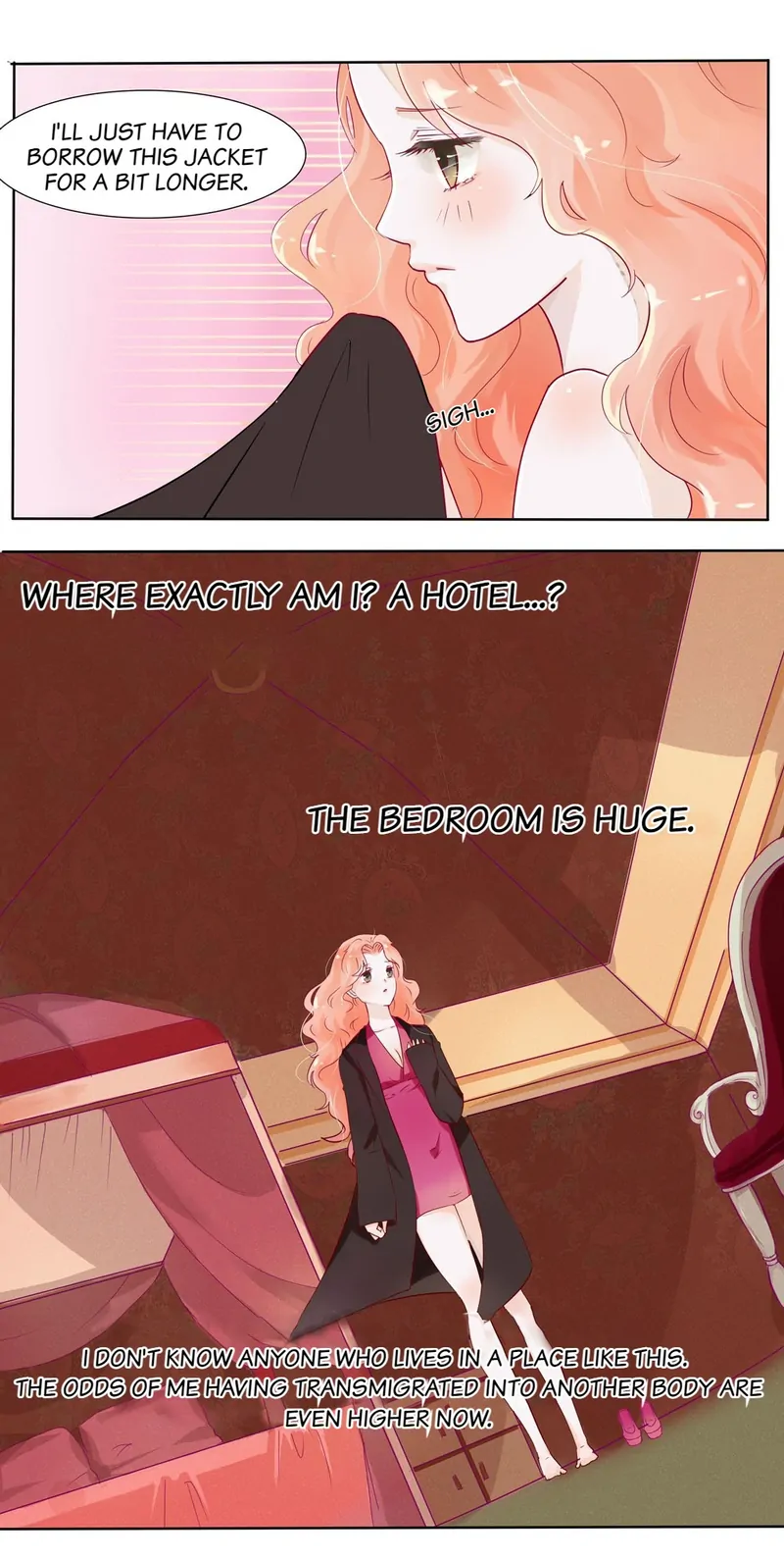 The Chairman Is in Love With Two of Me Chapter 3 - page 11