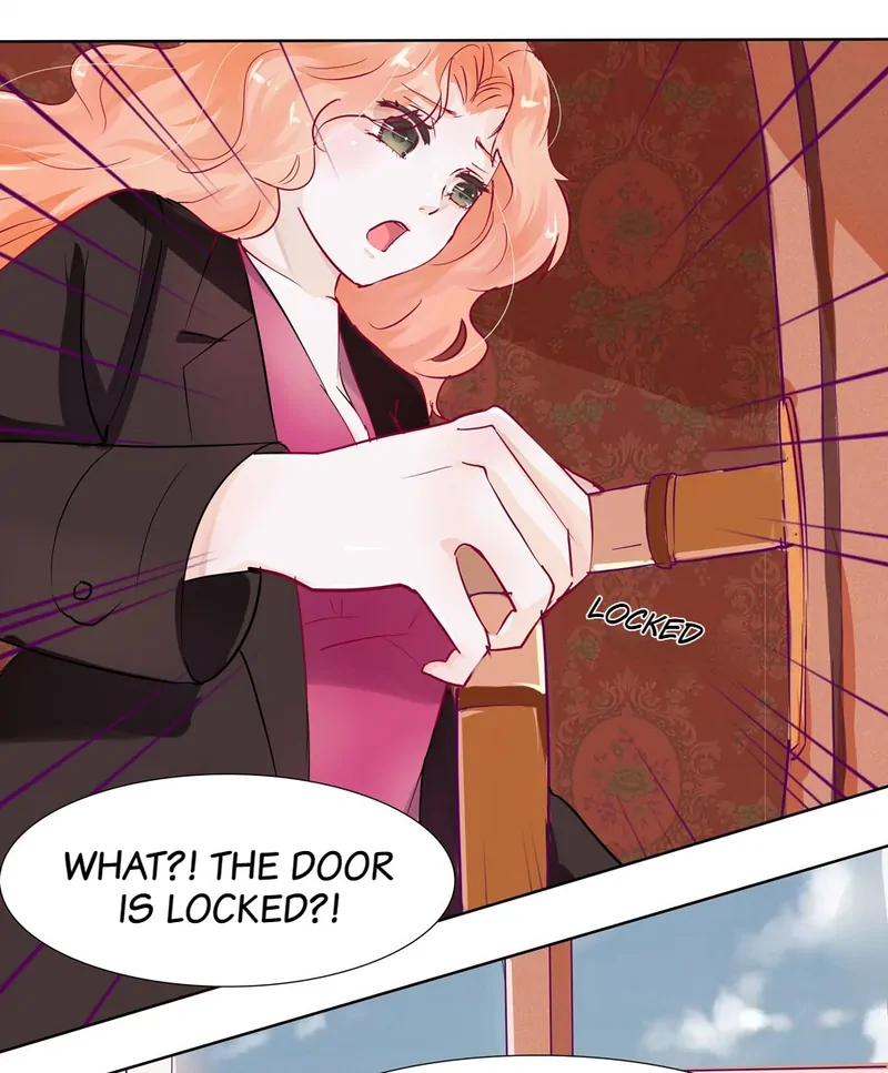 The Chairman Is in Love With Two of Me Chapter 3 - page 15