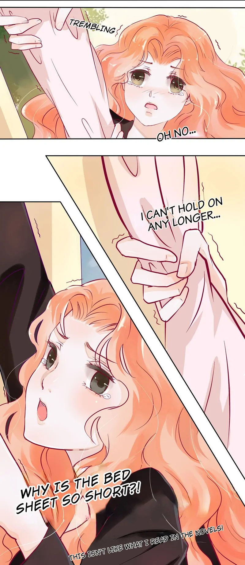 The Chairman Is in Love With Two of Me Chapter 3 - page 21