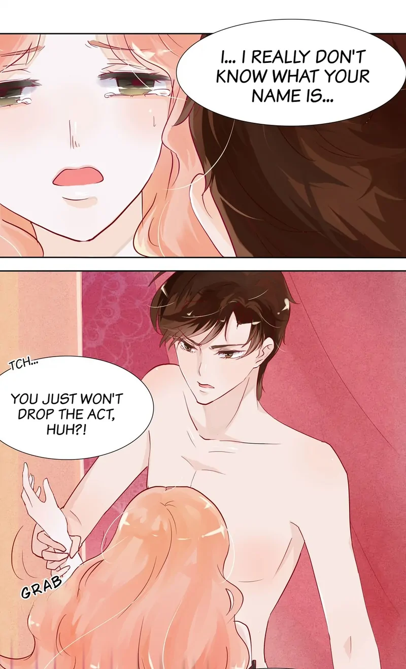 The Chairman Is in Love With Two of Me Chapter 3 - page 6