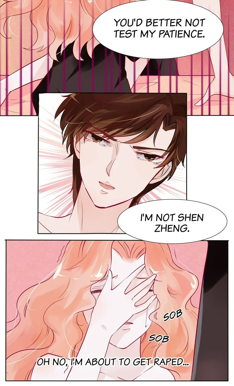 The Chairman Is in Love With Two of Me Chapter 3 - page 7