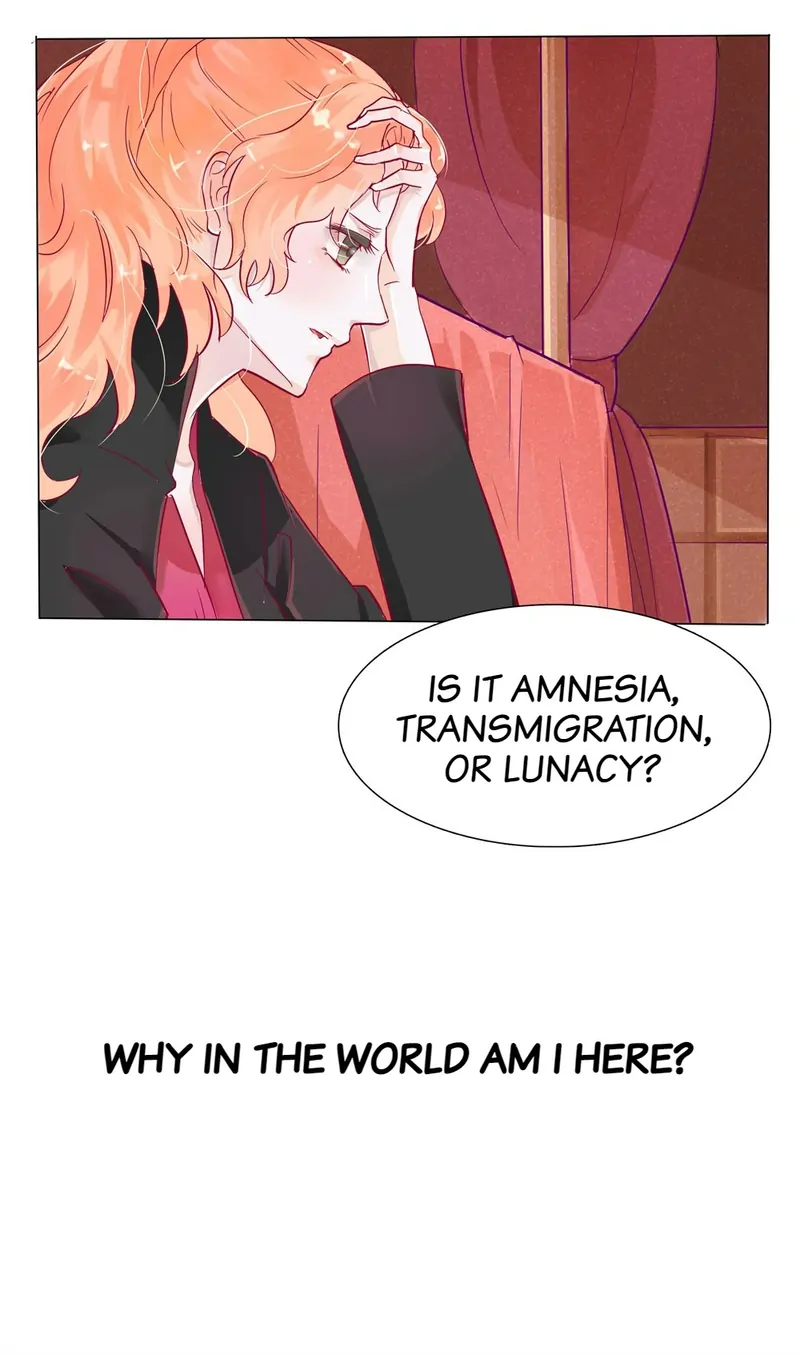 The Chairman Is in Love With Two of Me Chapter 6 - page 5